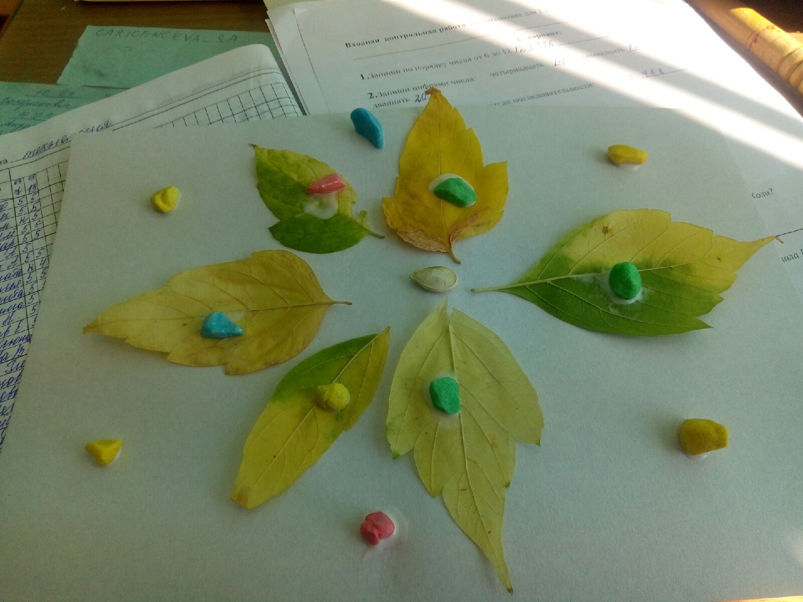 Портфолио учителя начальных классов на 1 категорию