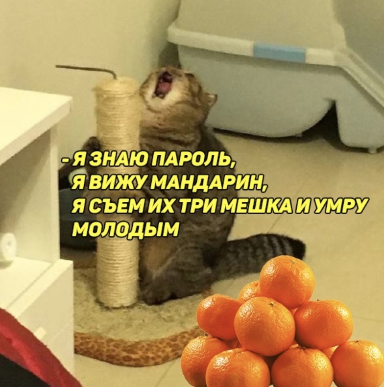 https://pp.userapi.com/c852236/v852236821/5eb59/D_3zSkZibeE.jpg