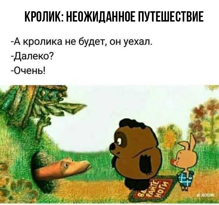 [âIMG]