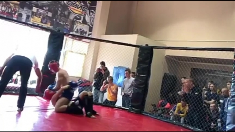 Mma vine 4