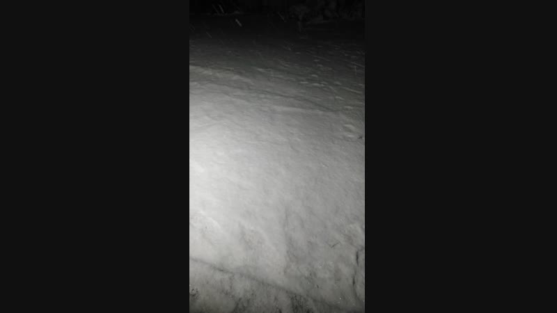 1547992219648.mp4