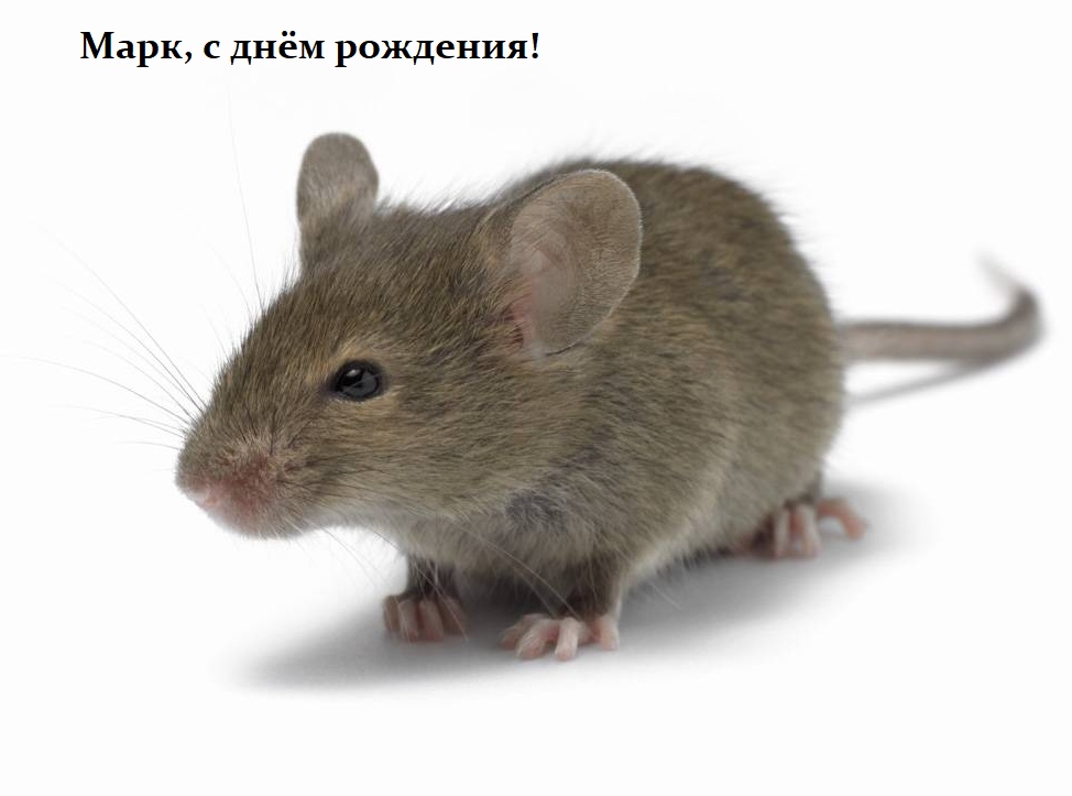 IBbHzSq2ERY.jpg