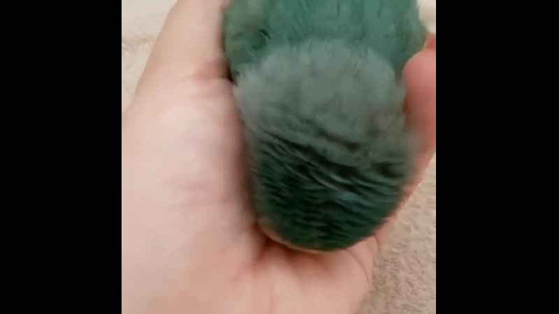 Греется комочек 😌🤗