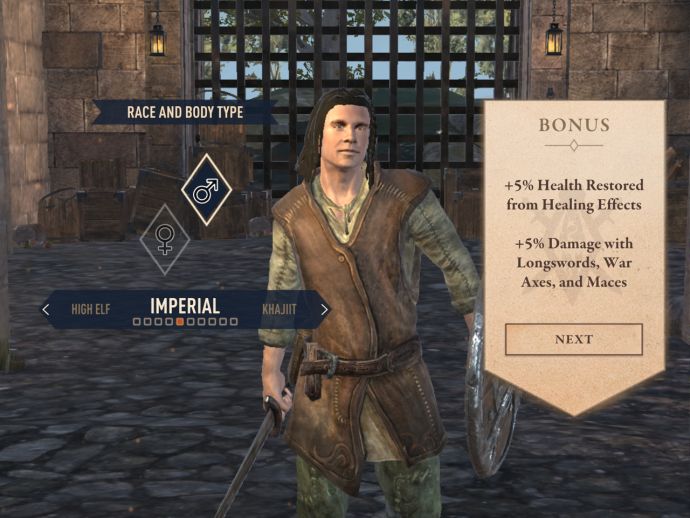 Имперцы в The Elder Scrolls Blades