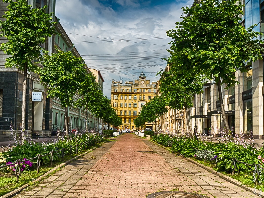 Санкт петербург центр города улицы