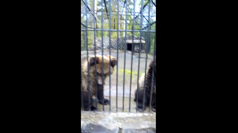 VID_20150928_110409