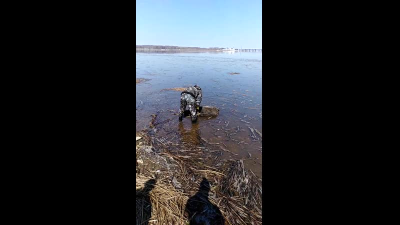 Достают труп