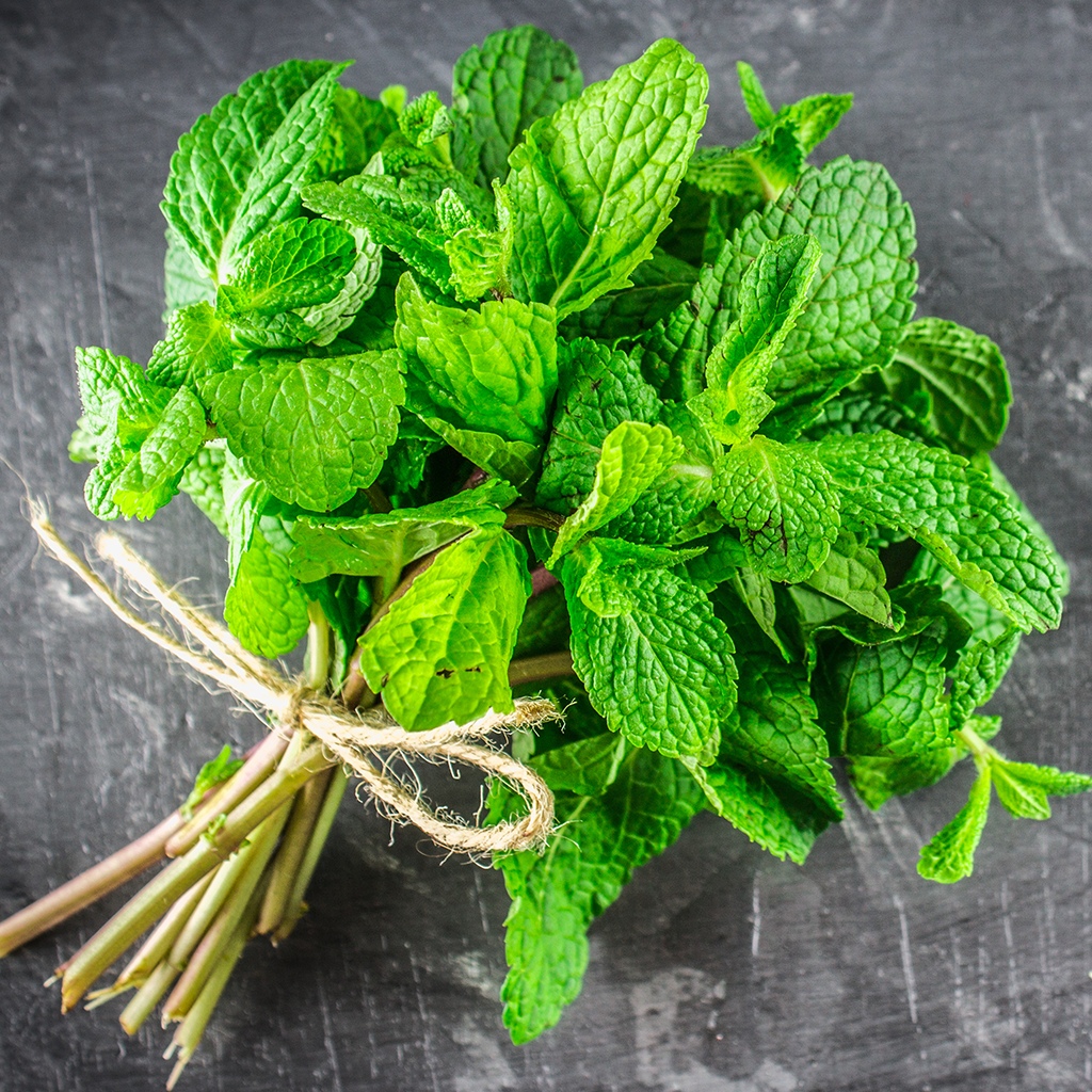 самые полезные эфирные масла: Мята перечная (Peppermint)
