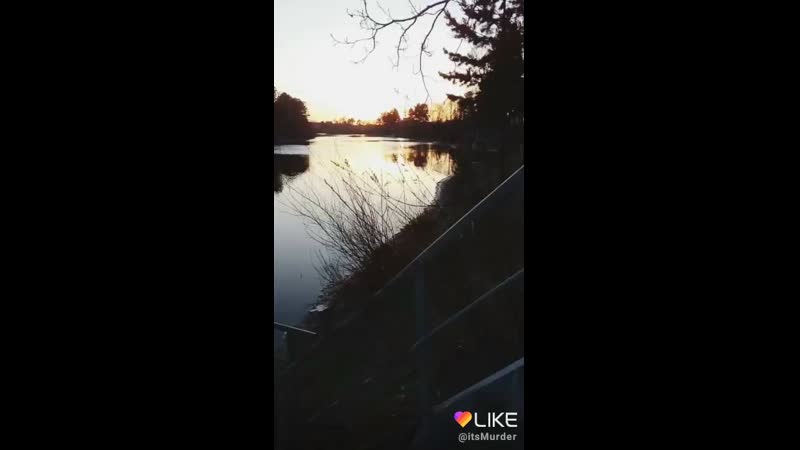 6550955326910888113.mp4