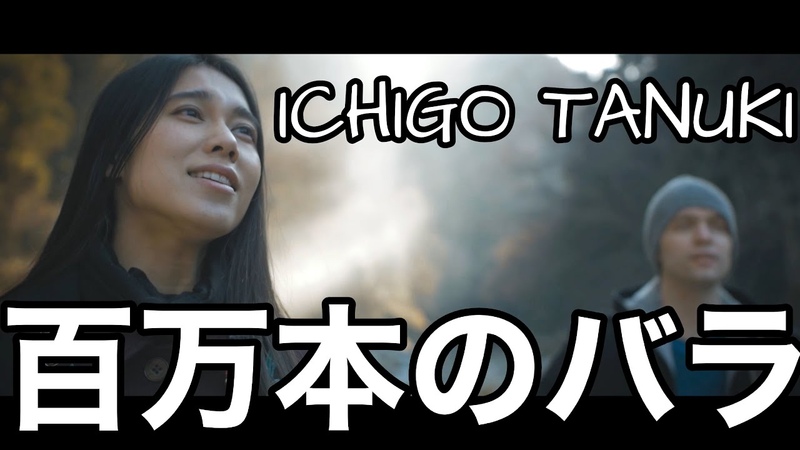 「日本語とロシア語」ICHIGO TANUKI - 百万本のバラ