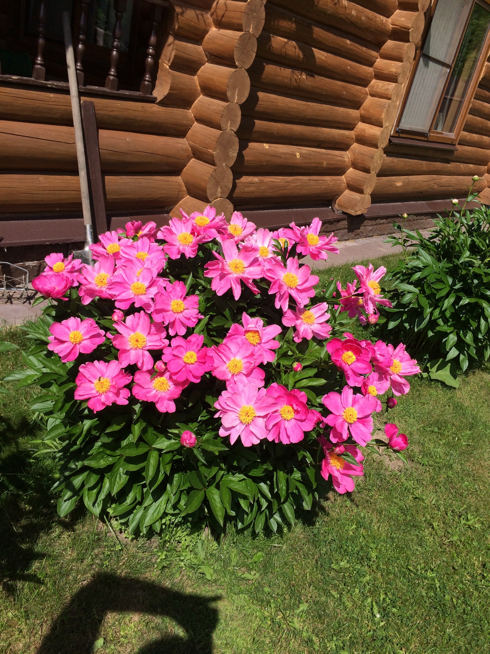 фотография из вКонтакте