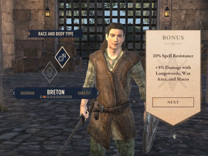 Бретонцы в The Elder Scrolls Blades
