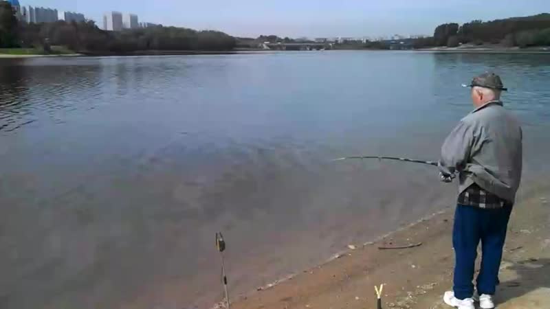 Карась перед нерестом.