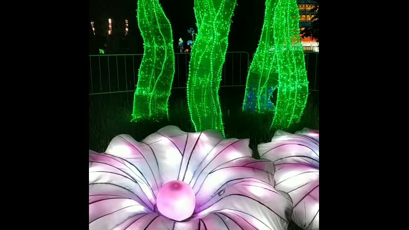 VID_336950902_174945_191.mp4