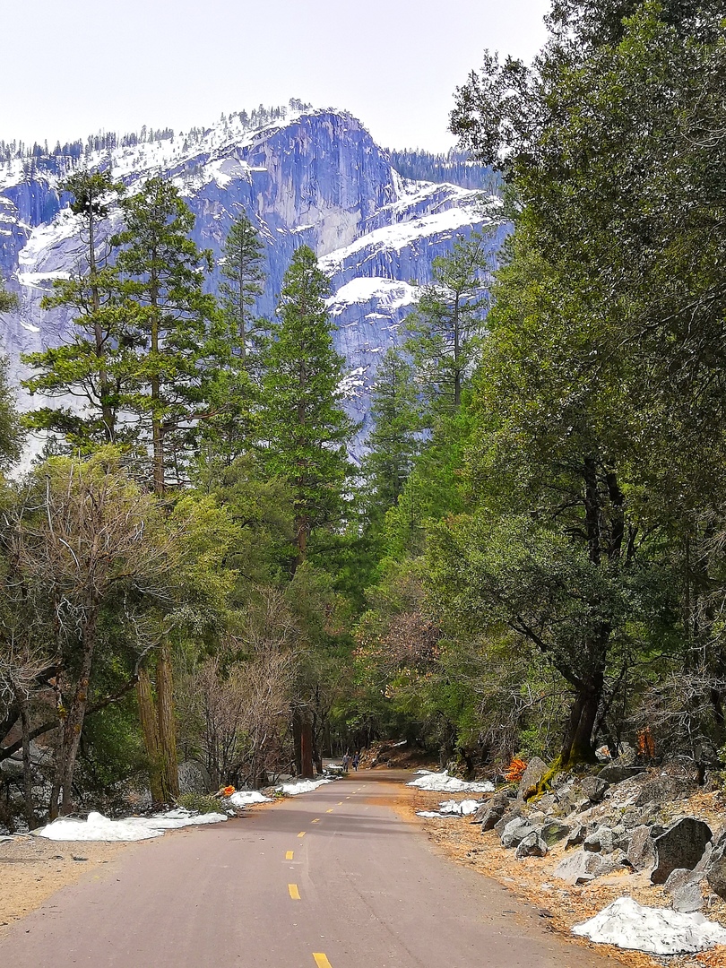 Ударим автопробегом по дикому западу! USA 2019 7-25 марта.