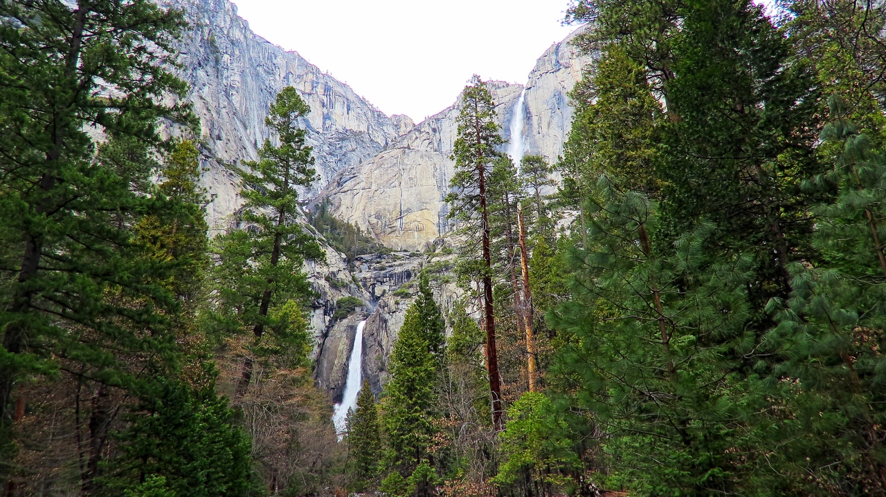 Ударим автопробегом по дикому западу! USA 2019 7-25 марта.