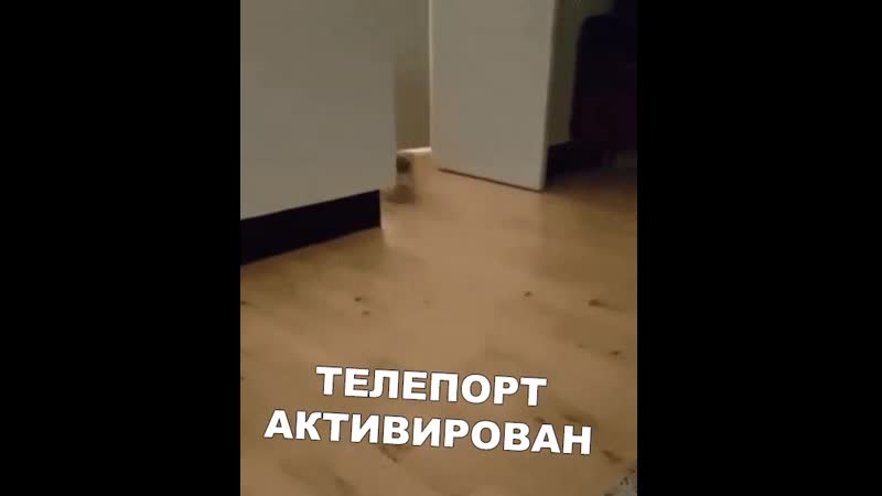 Doc7769274_500854752.mp4