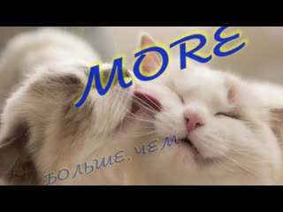 More Theme From Mondo Cane - Больше, чем..