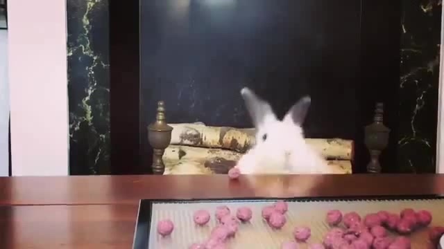 I want it all!