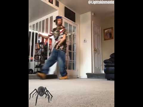 Oh sh*t a spider