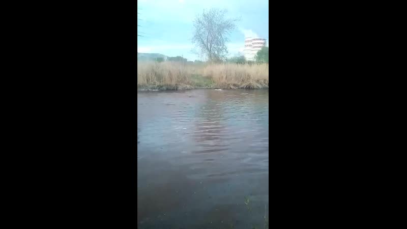 сливают в Миасс жижу с ГРЭС.mp4