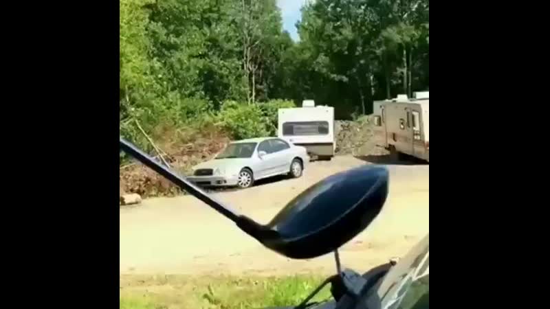 Гольф сука опасный