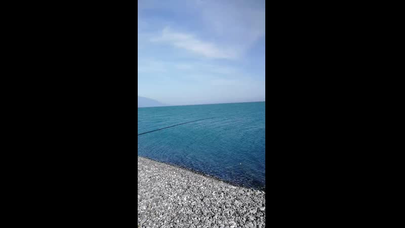 VID_20190521_170310.mp4