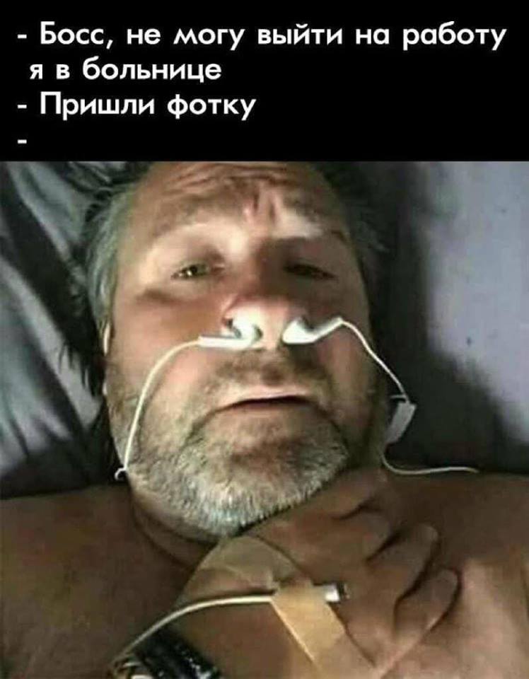 https://pp.userapi.com/c854416/v854416126/135c5/foTN8hGReAw.jpg