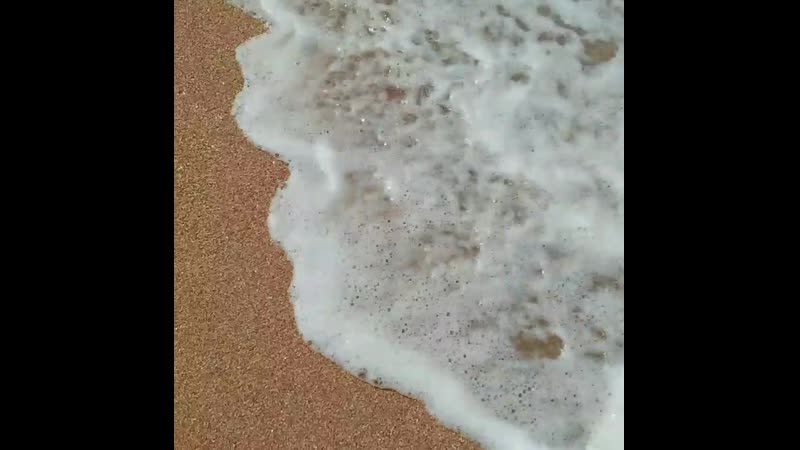 VID_24810710_151225_665.mp4