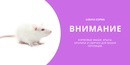 Азбука Корма Интернет Магазин