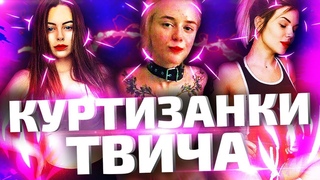 ШКУРЫ ТВИЧА | РАЗОБЛАЧЕНИЕ GTFOBAE, Михалина, Sorabi