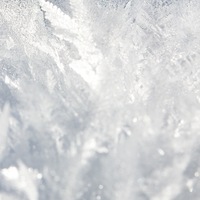 Котик Ласковый