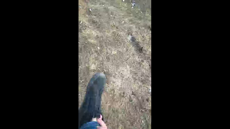 Кирилл Смирнов - Live