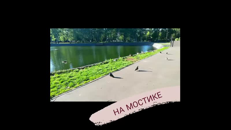 VID_21070208_194350_589.mp4