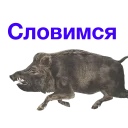aMsvGgo-yf8.jpg