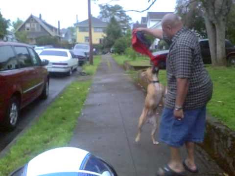 Big Mike Playin with Isis.AVI