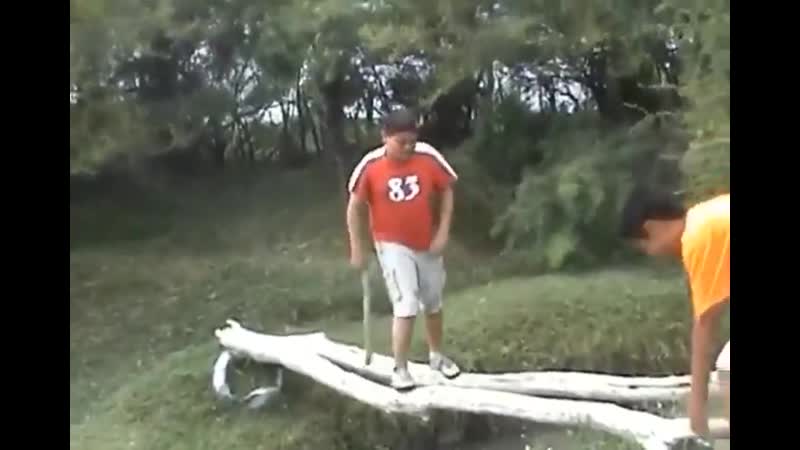 La caída de edgar