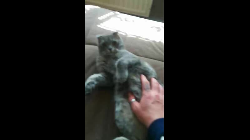 VID_20190421_124027.mp4