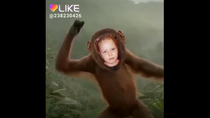 обезьянка
