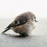 Ульяна Сычёва | 