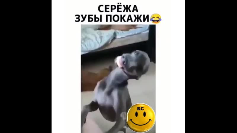 Сережа_БС