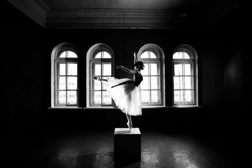 Фотограф Марина Романова, зал «Грэй» Фотограф Марина Романова, зал «Грэй»