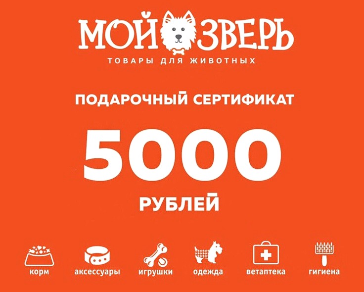 Магазин Мой Зверь Пермь