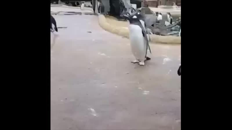 Сегодня будет туса!