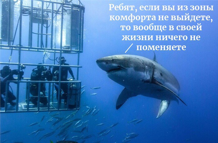 -u0hsnEdkkE.jpg