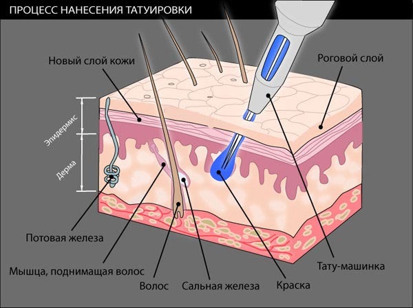 напыление пигмента на верхний слой кожи бровей