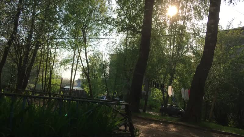 синька