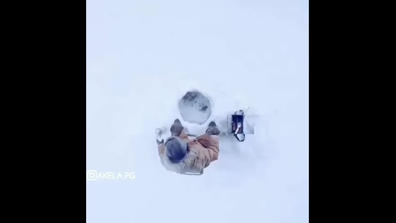 Охо