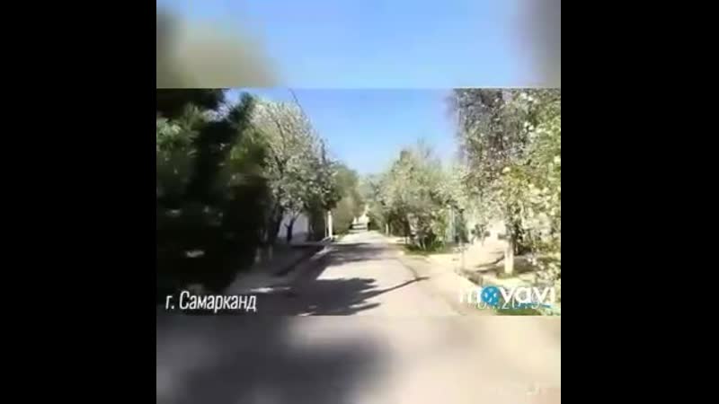 Егамбердиев Қобил Бева