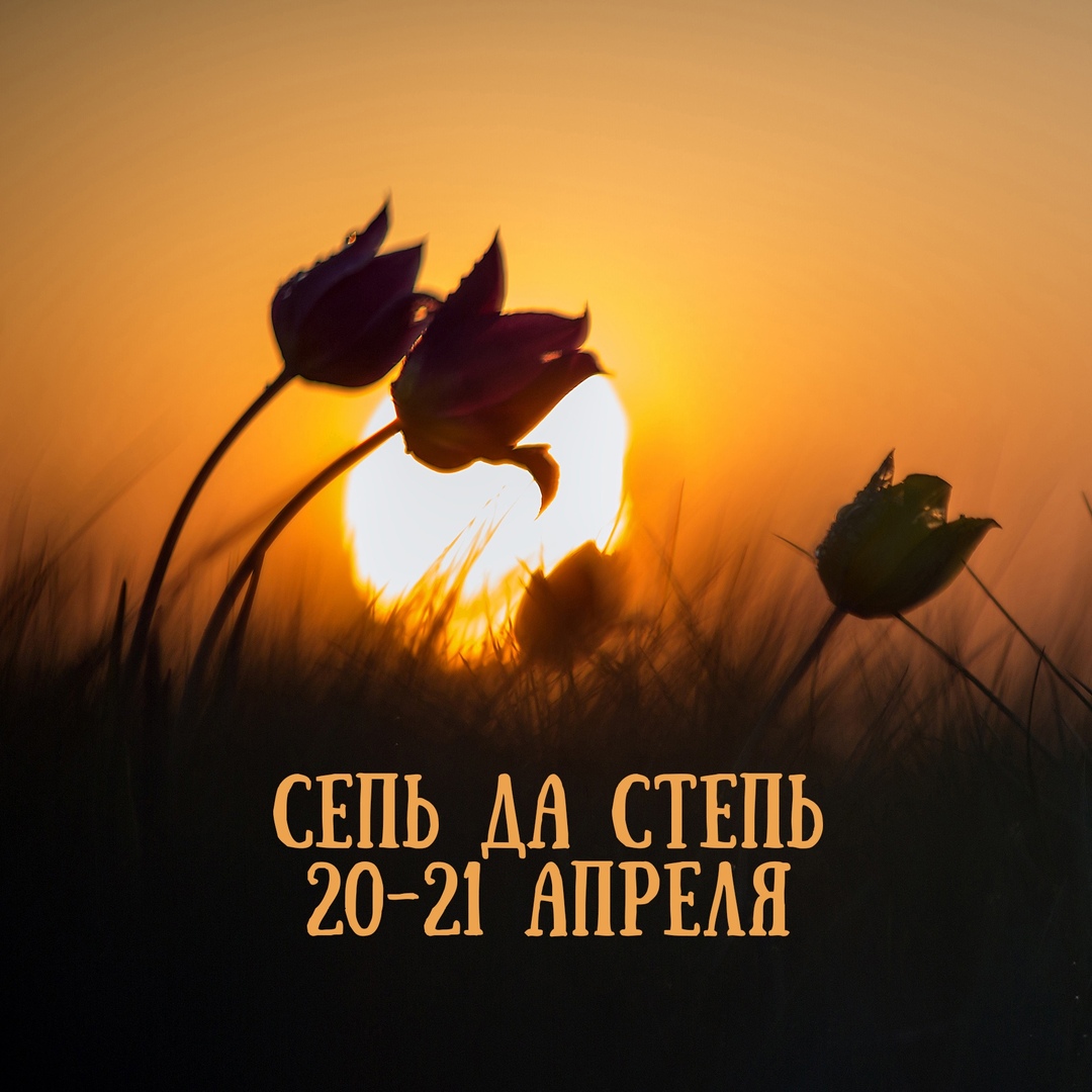 Афиша Воронеж Степь да степь